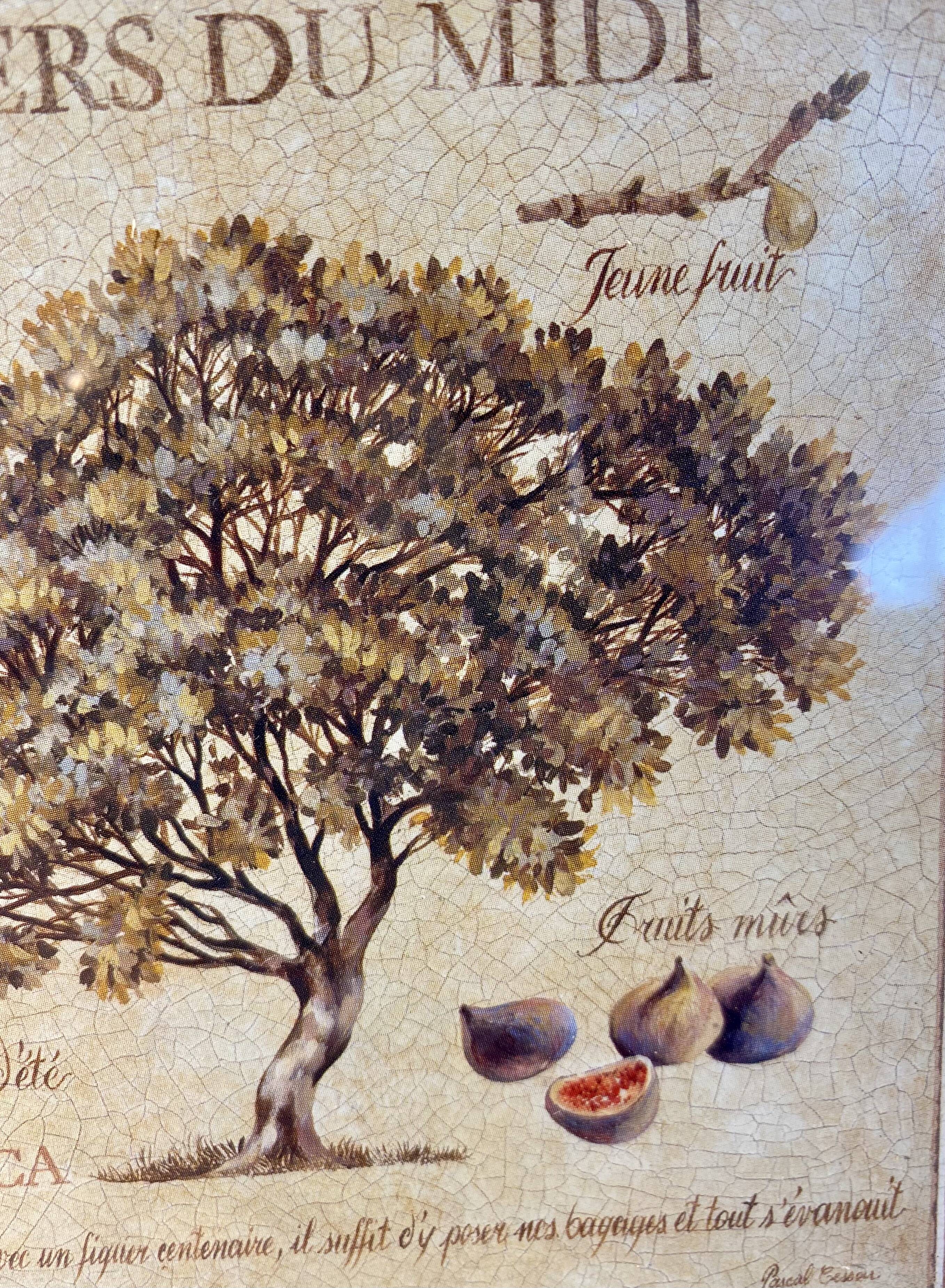 Botanical painting, fig tree of the south, XXI century