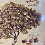 Botanical painting, fig tree of the south, XXI century