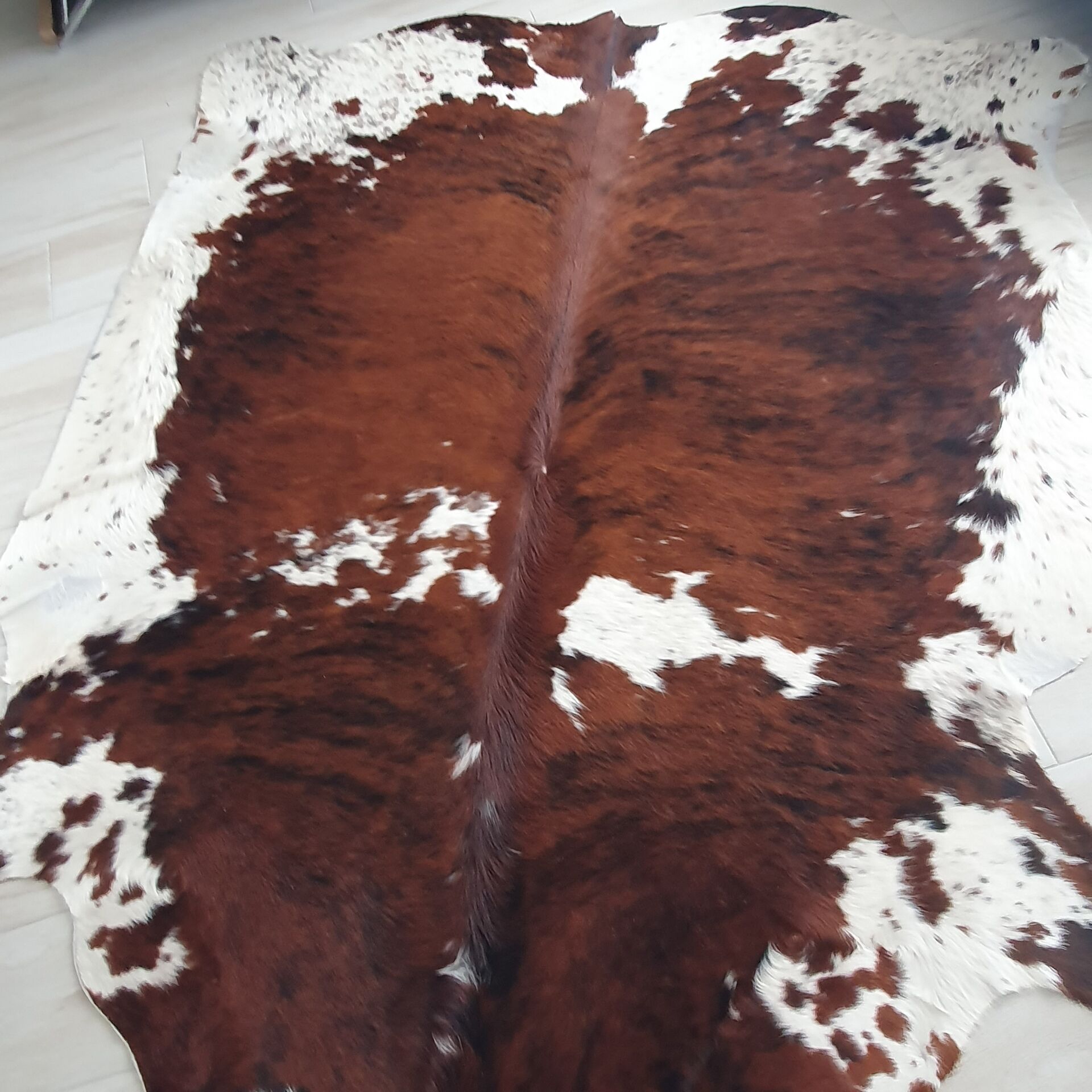Cowhide rug