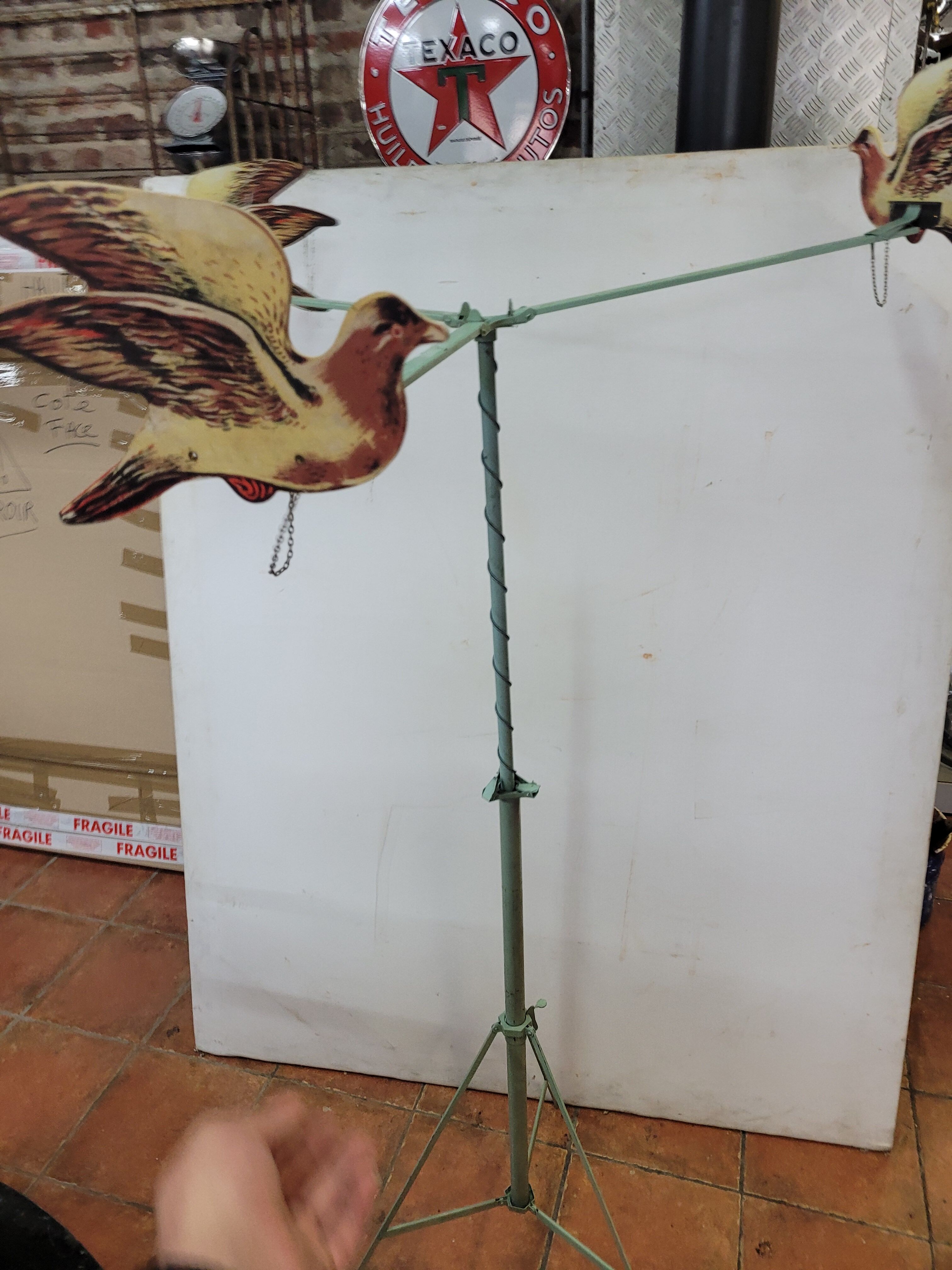 Pigeon shooting from the 80s