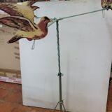 Pigeon shooting from the 80s