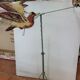 Tir au pigeon des années 80