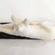 Sculpture Chien Art Déco Odyv