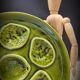 Green oyster plate