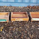 Set of 3 stackable vegetable trays