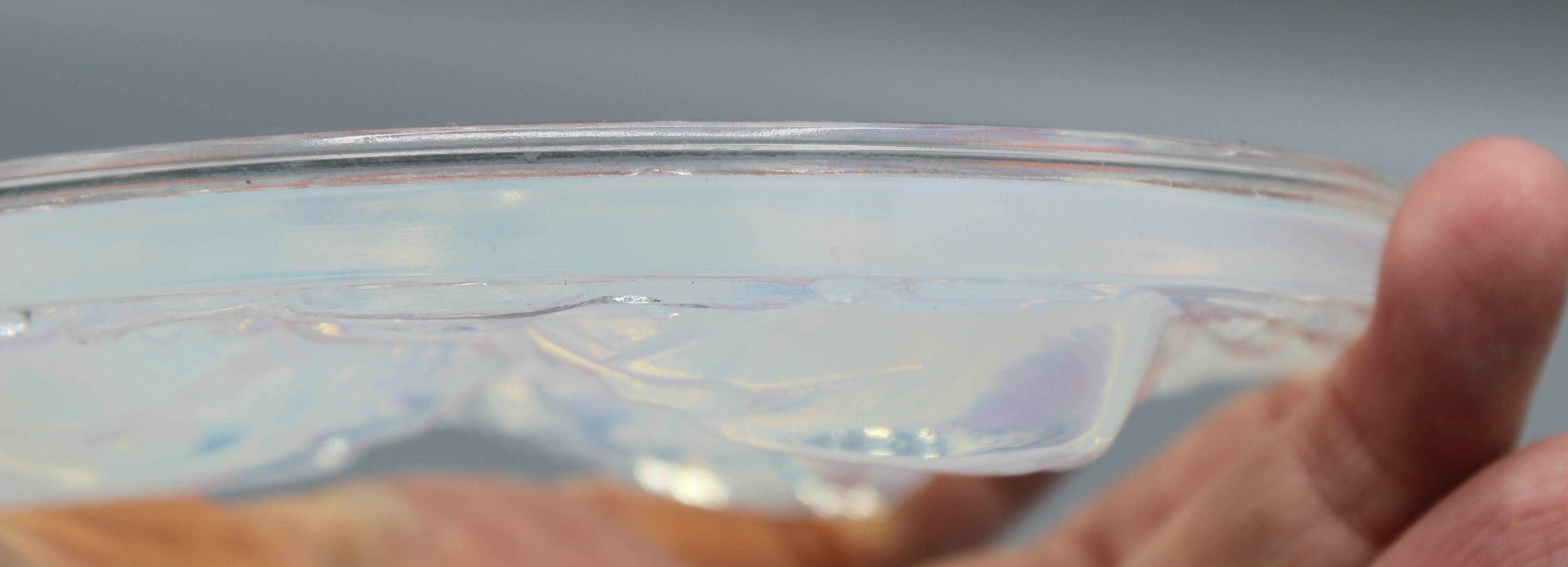 Dessous de carafe bouteille verre opalescent verlys sabino lalique #2