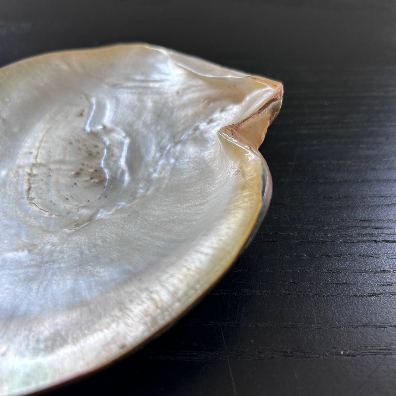 Mother-of-pearl shell emptier