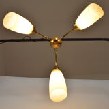 Lustre, années 1950