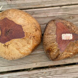 Pair of coconut ice buckets