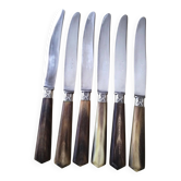 Coffret de 6 couteaux à fromage anciens Inox et corne Bovine GAG