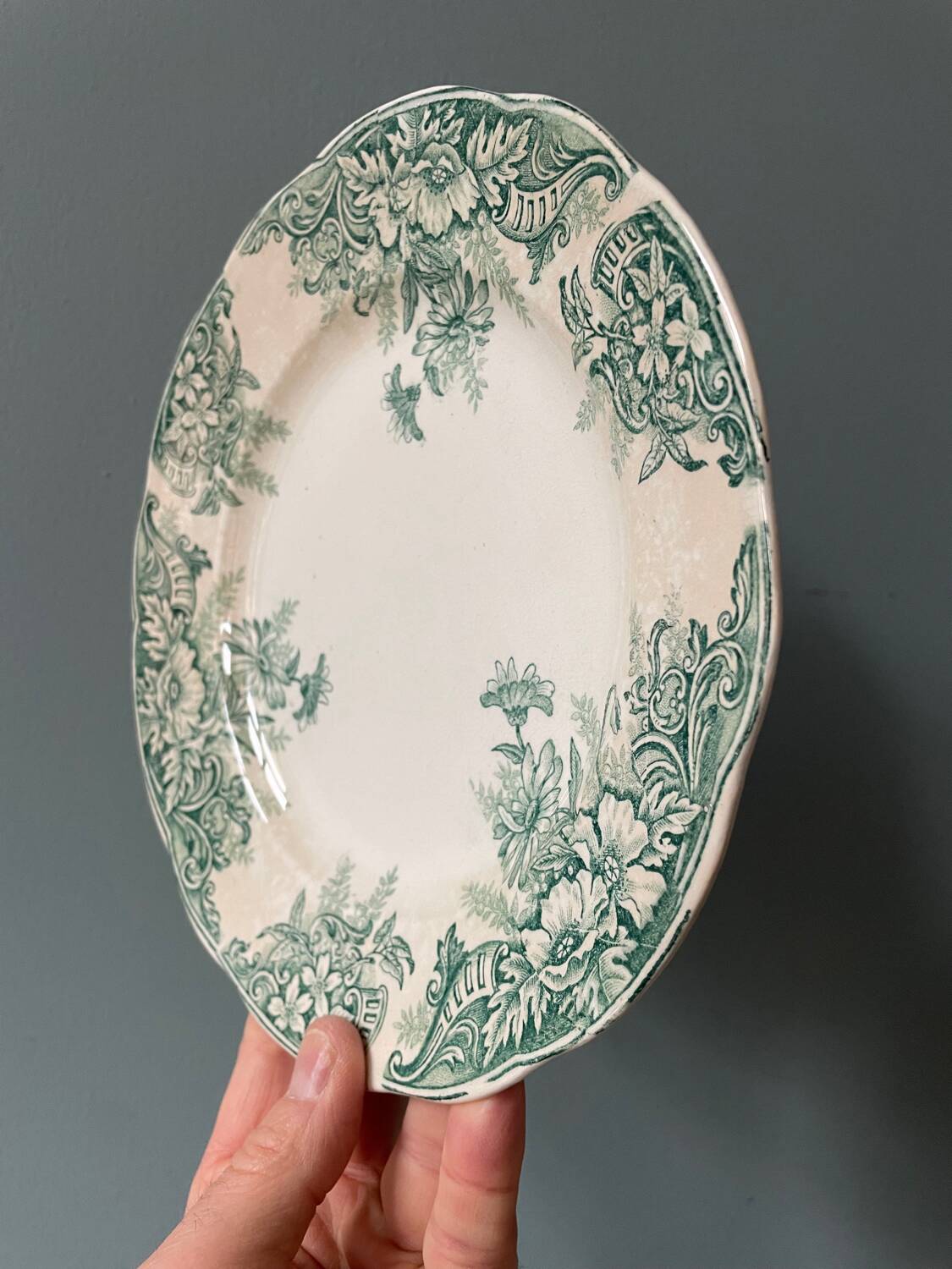 Series of 12 Terre de Fer flat plates in Onnaing earthenware, Sylvia model