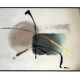 Painting on glass watercolor and gold abstraction important framing