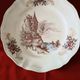 Set of 2 Sarreguemines Balmoral plates