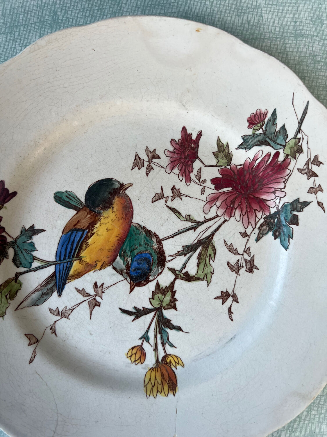 6 polychrome flat plates HB&Cie Choisy Le Roi