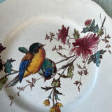 6 polychrome flat plates HB&Cie Choisy Le Roi