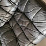 Kashima model sofa by Michel Ducaroy for Ligne Roset