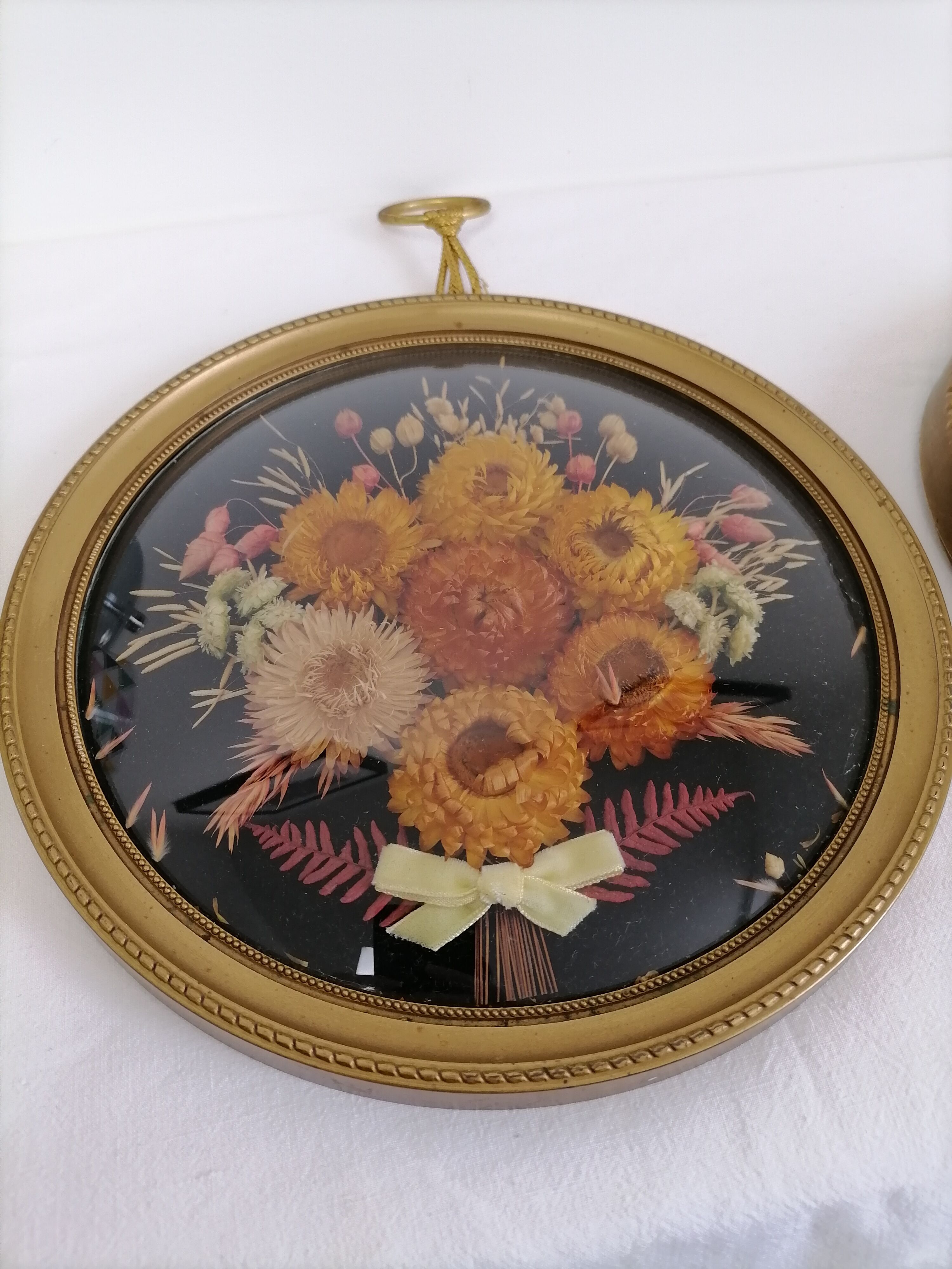 Dried flowers under curved glass frame
