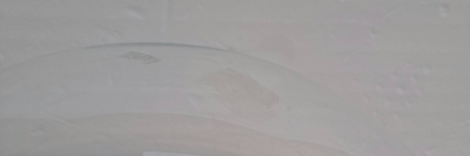 19th century bridal globe