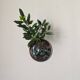 Ceramic flower stand wall decoration slow decoration handmade vase