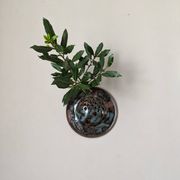 Ceramic flower stand wall decoration slow decoration handmade vase