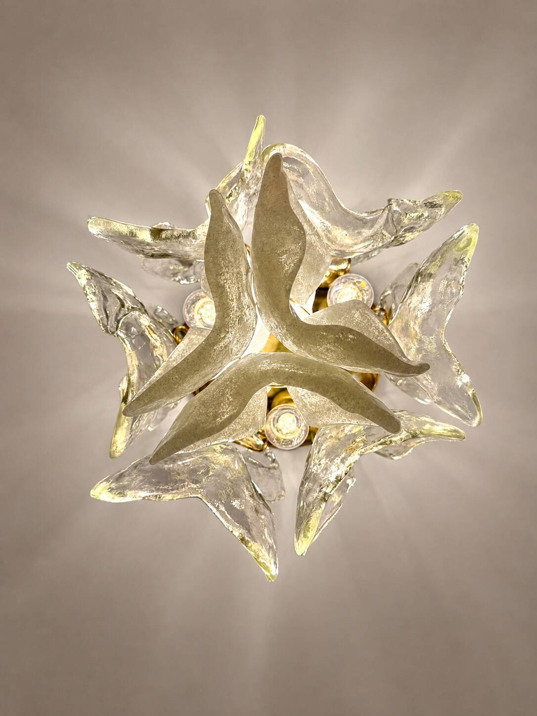 Catena ceiling light with Murano glass by Kalmar, Austria, 1960