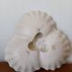 Vintage ceramic serving dish 1960