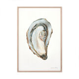 "Clauda", the oyster, art print 21/29.7 cm