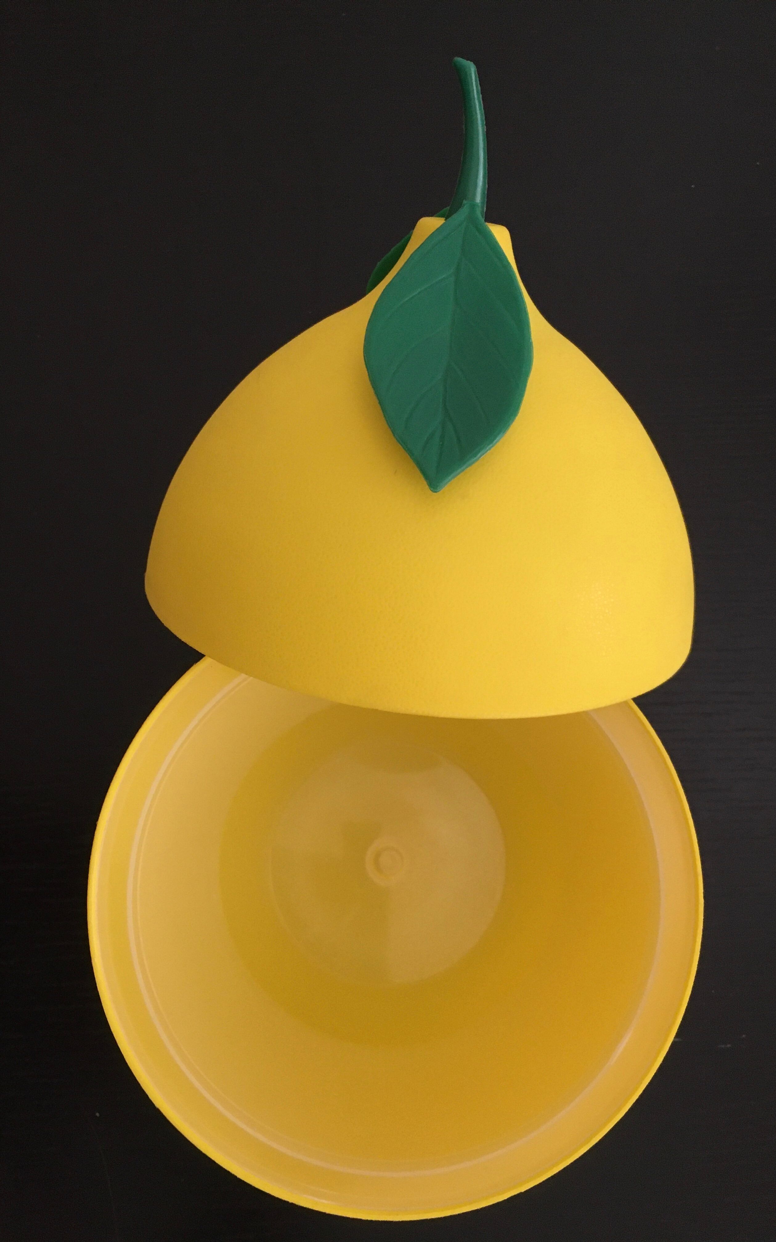 Vintage lemon ice cube tray