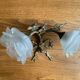 Set of 2 golden knot sconces