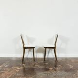 Chaises Mid-Century n° 124 par H & J Kurmanowicz, Pologne, années 1950, lot de 6
