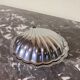 Beurrier coquillage