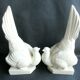 Cracked white ceramic Art Deco book-snables: Birds, Doves
