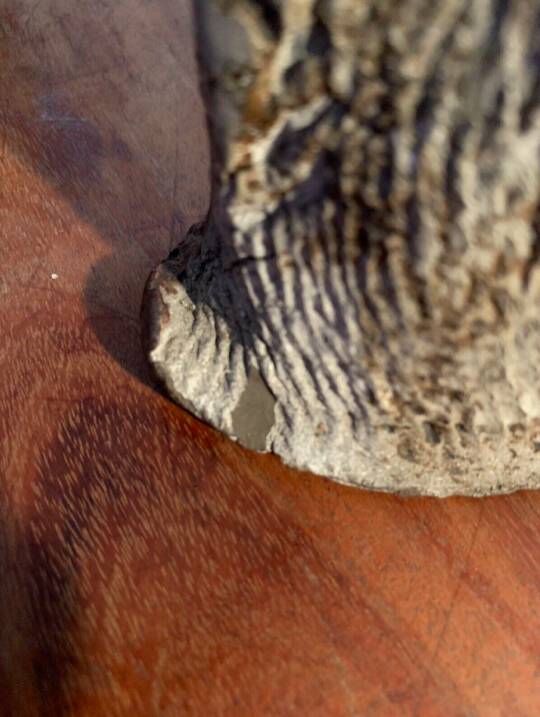 Ceramic soliflore - Brutalist - shaped piece