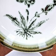 8 vintage hollow plates earthenware Gien model Herbiers table arts France