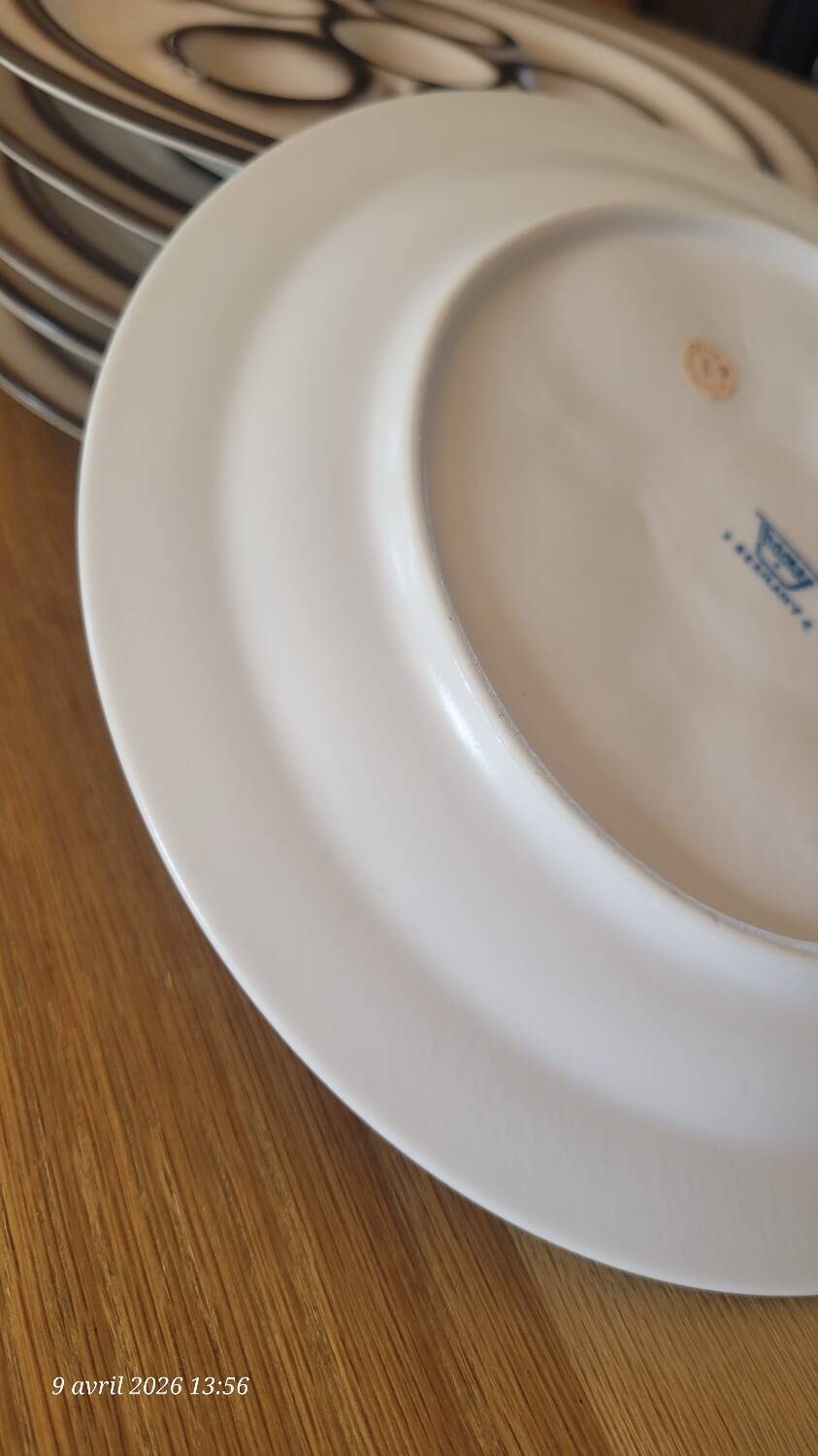 6 snail plates Thomas