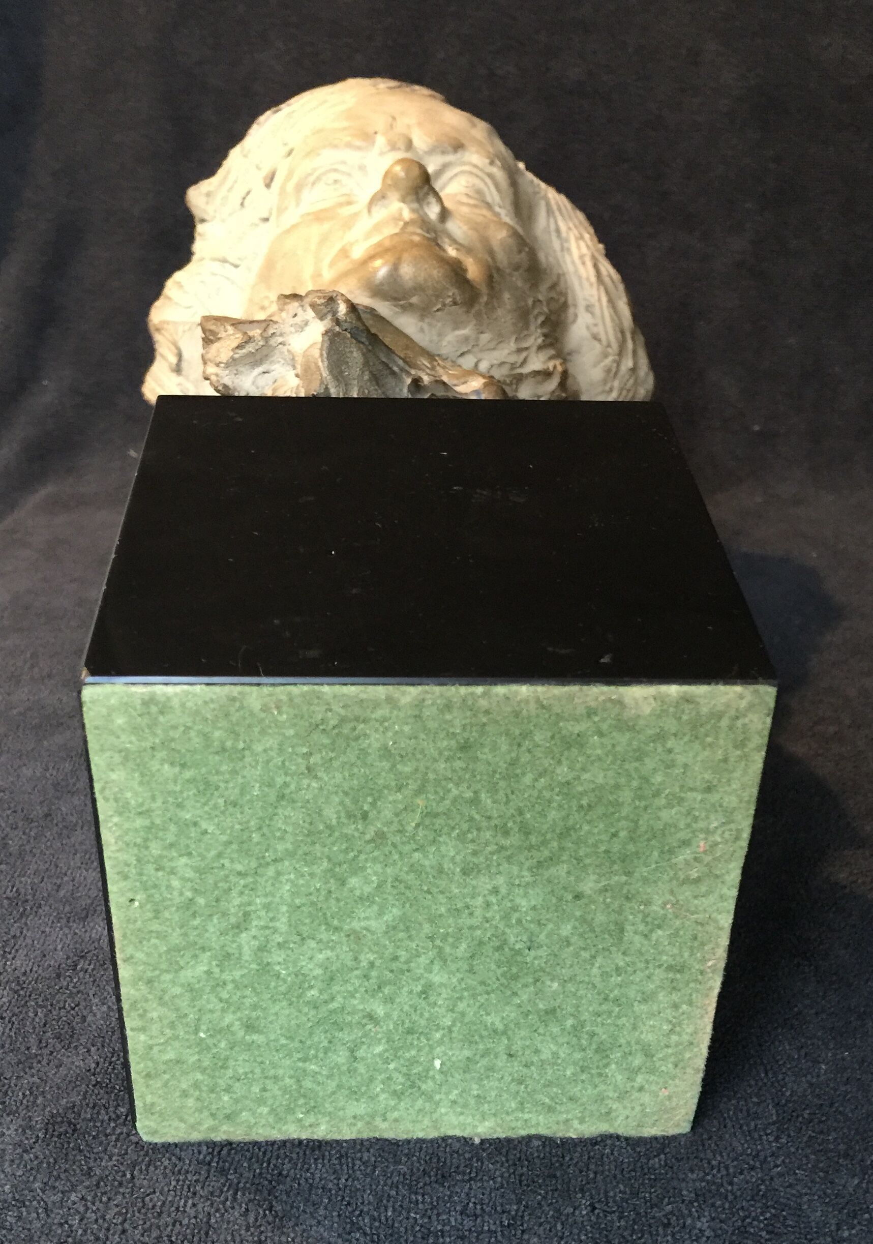 Bust of Richard Wagner by Fernand Cian (edition)