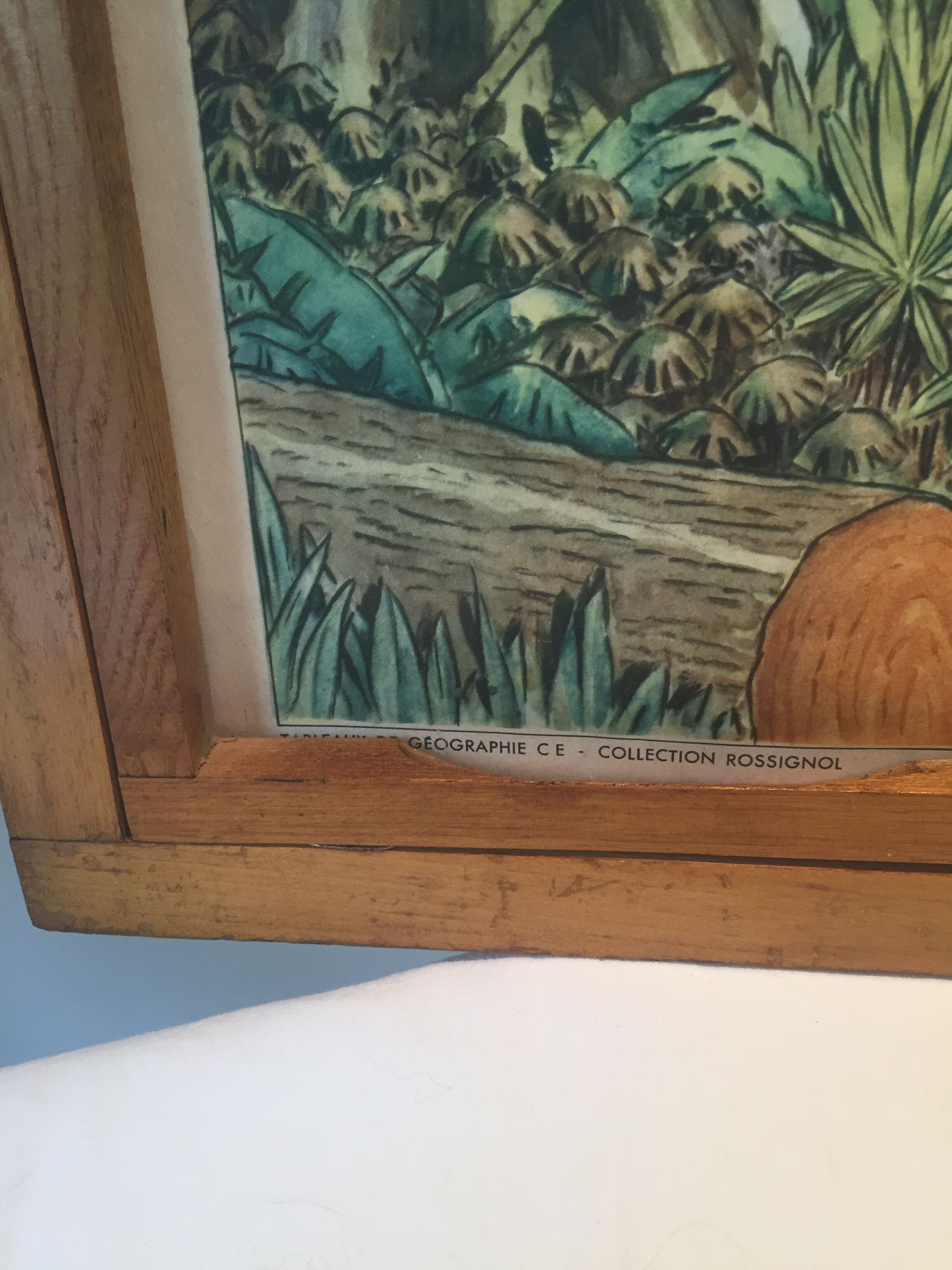 Table school nightingale year 50 with poster virgin forest / tundra