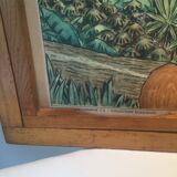 Table school nightingale year 50 with poster virgin forest / tundra