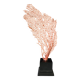Large Red/Orange Gorgon Black wooden base. H: 36 cm