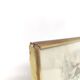 Zoological board engraving Buffon otter and beaver from Canada gilded wood frame