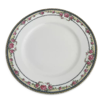 Limoges porcelain plates