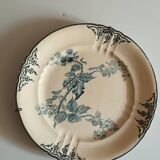 Plat e terre de fer,choisi-le-roi