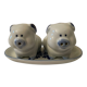 Salt pepper