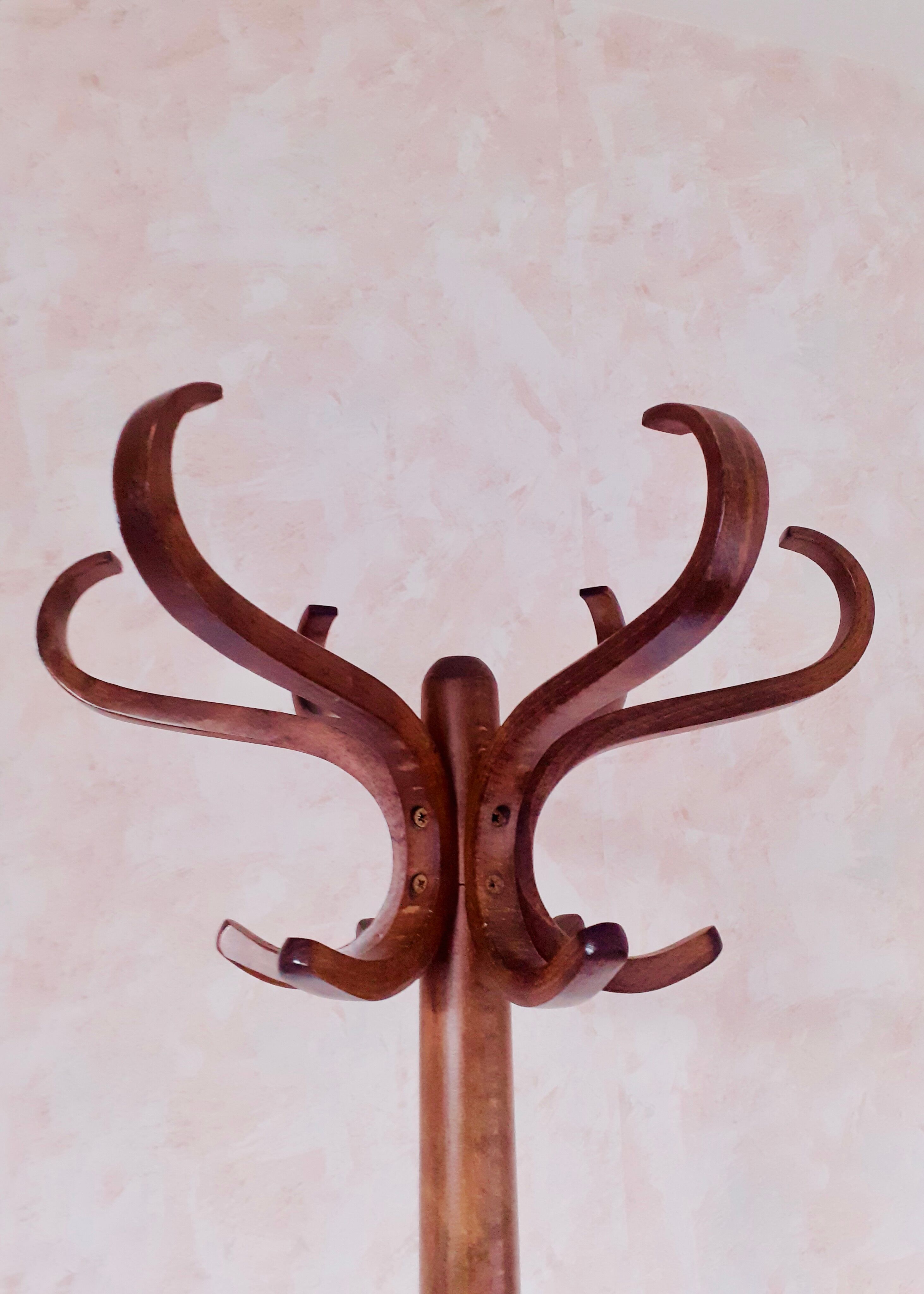 Baumann parrot coat rack