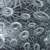 Vase 1960 with stylized flowers.