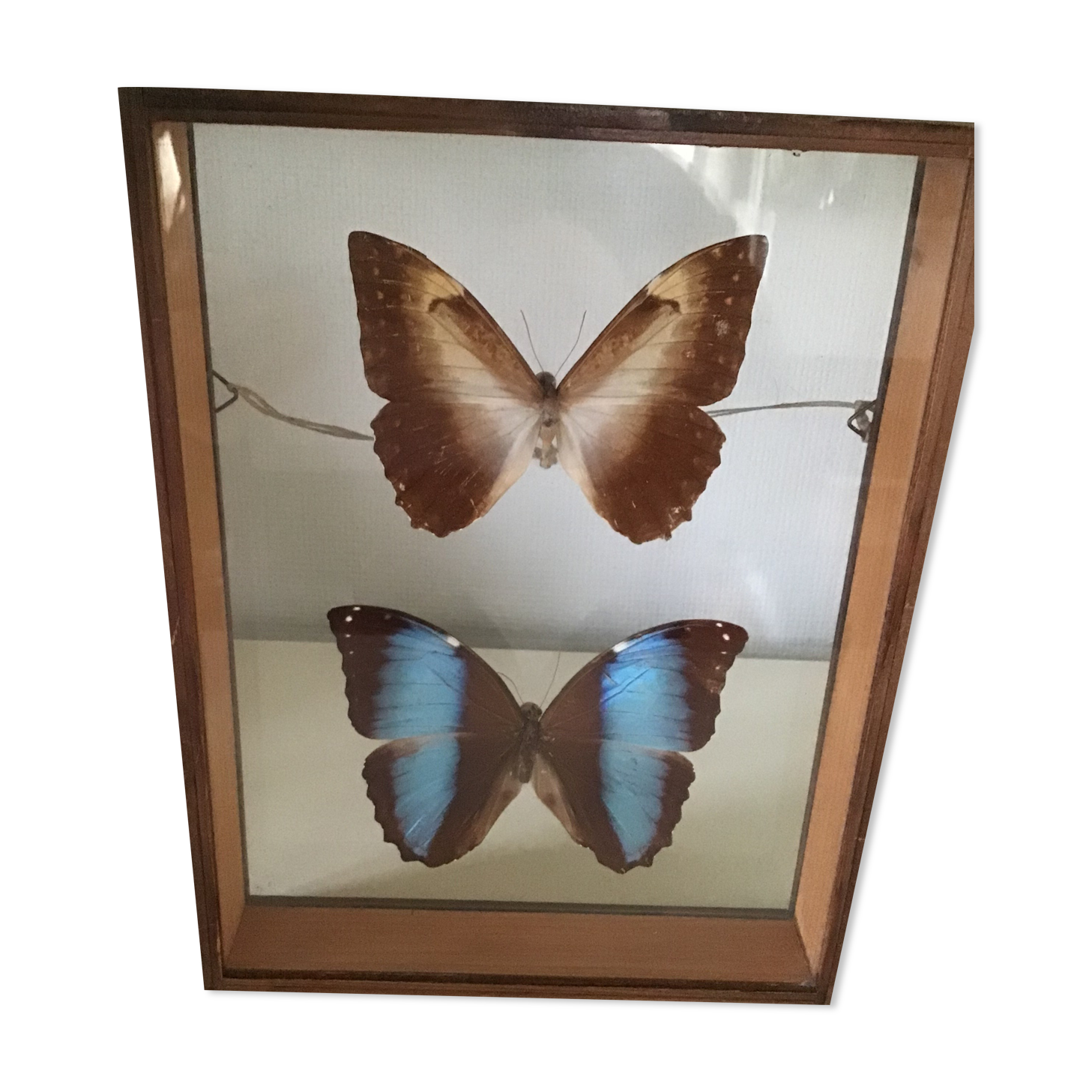 Wooden frame with 2 butterflies