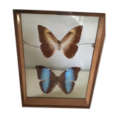 Wooden frame with 2 butterflies