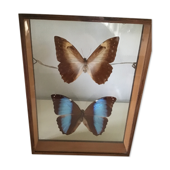 Cadre en bois avec 2 papillons