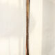Brass and glass floor lamp by Angelo Brotto for Esperia Italia Anni '60