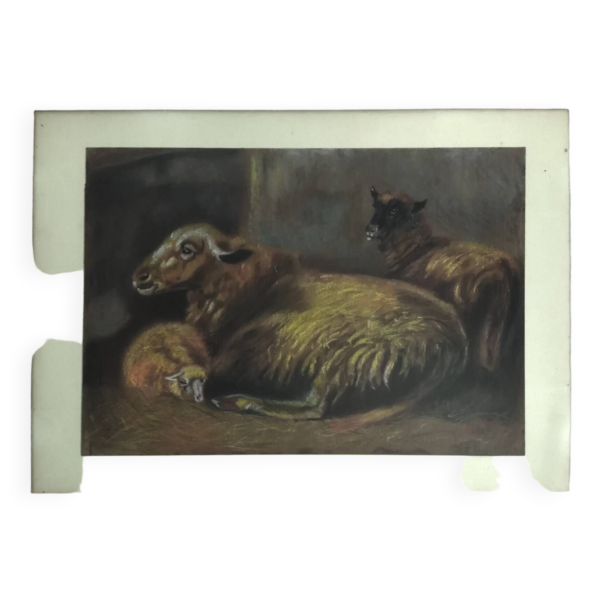 Animal painting, sheepfold, sheep and lamb.
